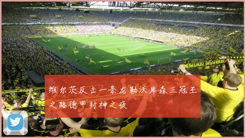 维尔茨反击一条龙勒沃库森三冠王之路德甲封神之夜