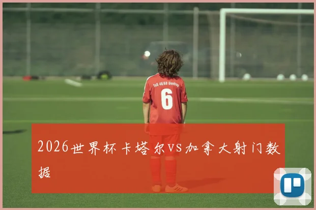 2026世界杯卡塔尔vs加拿大射门数据