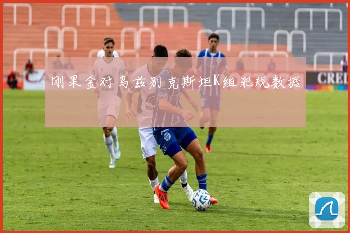 刚果金对乌兹别克斯坦K组犯规数据