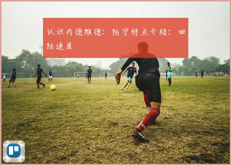 认识内德维德：防守特点介绍：回防速度