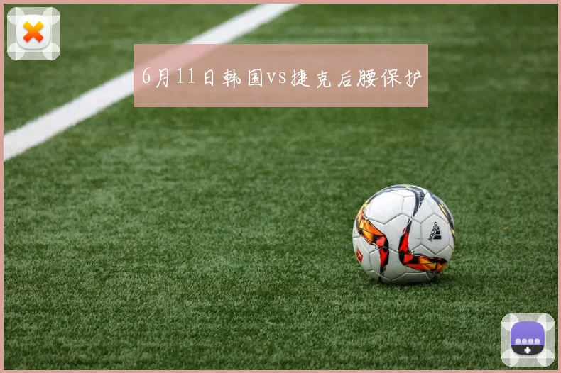 6月11日韩国vs捷克后腰保护