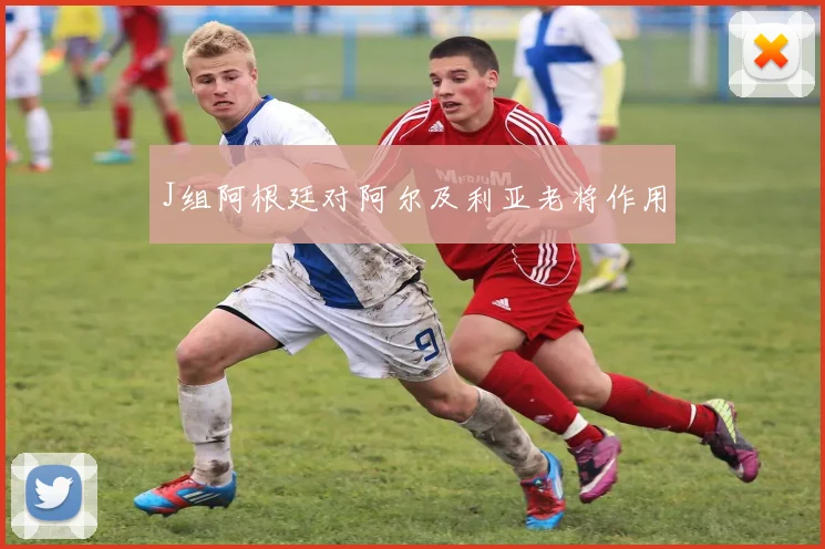 J组阿根廷对阿尔及利亚老将作用